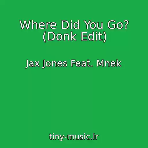 کاور آهنگ Where Did You Go? (Donk Edit) از Jax Jones Feat. Mnek