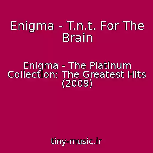 کاور آهنگ Enigma - T.n.t. For The Brain از Enigma - The Platinum Collection: The Greatest Hits (2009)