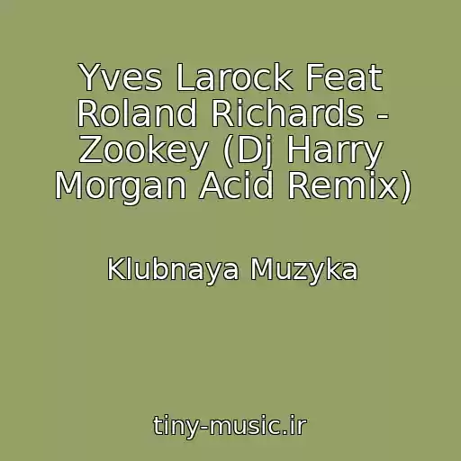 کاور آهنگ Yves Larock Feat Roland Richards - Zookey (Dj Harry Morgan Acid Remix) از Klubnaya Muzyka