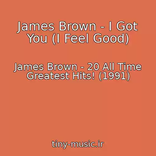 کاور آهنگ James Brown - I Got You (I Feel Good) از James Brown - 20 All Time Greatest Hits! (1991)