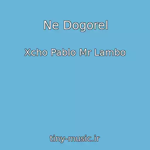 کاور آهنگ Ne Dogorel از Xcho Pablo Mr Lambo