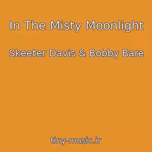 کاور آهنگ In The Misty Moonlight از Skeeter Davis & Bobby Bare