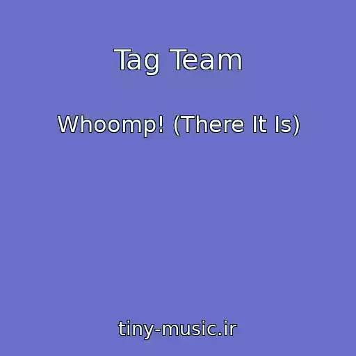 کاور آهنگ Tag Team از Whoomp! (There It Is)