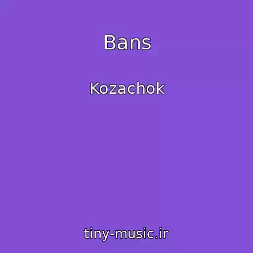 کاور آهنگ Bans از Kozachok