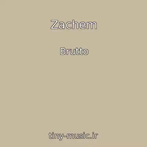 کاور آهنگ Zachem از Brutto