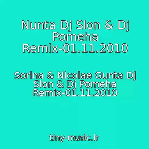 کاور آهنگ Nunta Dj Slon & Dj Pomeha Remix-01.11.2010 از Sorina & Nicolae Gunta Dj Slon & Dj Pomeha Remix-01.11.2010
