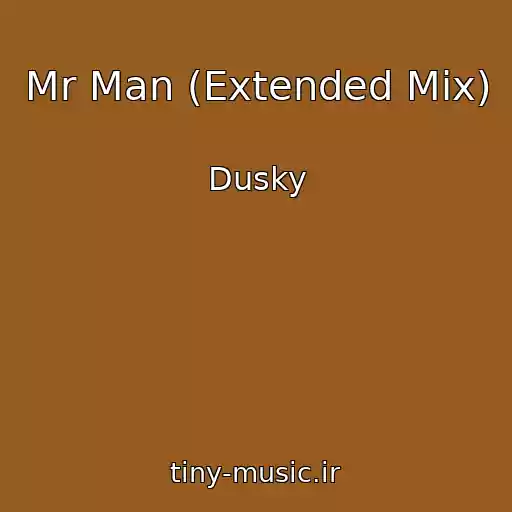 کاور آهنگ Mr Man (Extended Mix) از Dusky