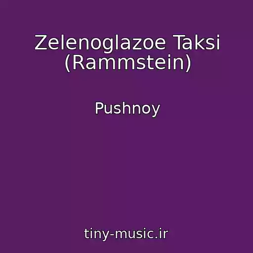 کاور آهنگ Zelenoglazoe Taksi (Rammstein) از Pushnoy