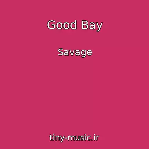 کاور آهنگ Good Bay از Savage