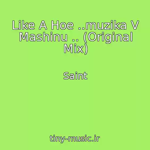کاور آهنگ Like A Hoe ..muzika V Mashinu .. (Original Mix) از Saint