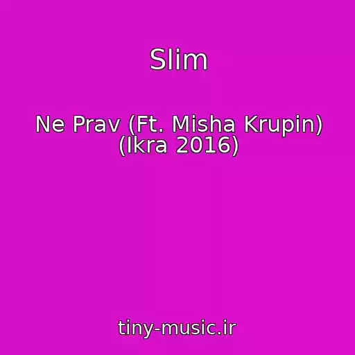 کاور آهنگ Slim از Ne Prav (Ft. Misha Krupin) (Ikra 2016)