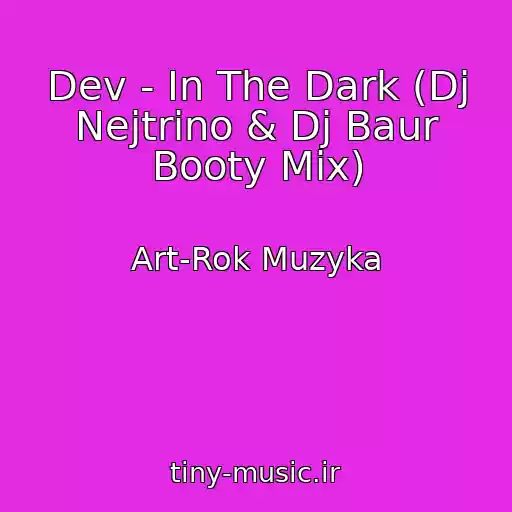 کاور آهنگ Dev - In The Dark (Dj Nejtrino & Dj Baur Booty Mix) از Art-Rok Muzyka