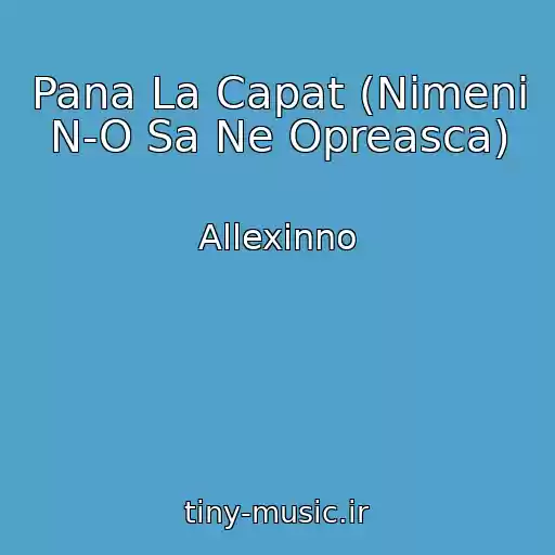 کاور آهنگ Pana La Capat (Nimeni N-O Sa Ne Opreasca) از Allexinno
