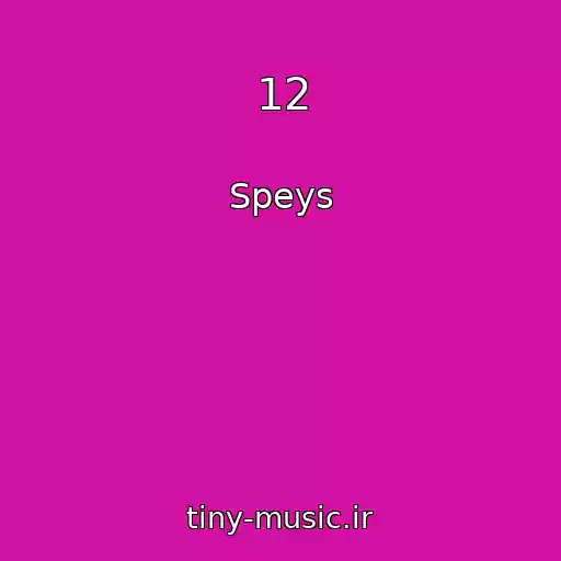 کاور آهنگ 12 از Speys