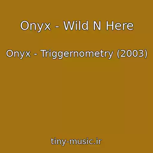 کاور آهنگ Onyx - Wild N Here از Onyx - Triggernometry (2003)