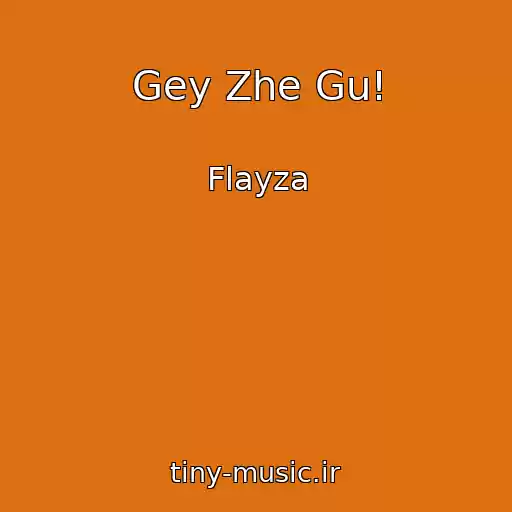 کاور آهنگ Gey Zhe Gu! از Flayza