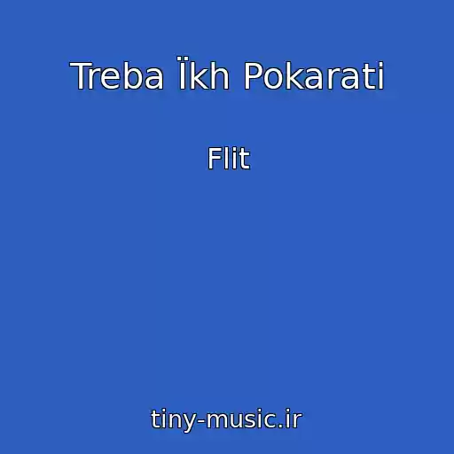 کاور آهنگ Treba Їkh Pokarati از Flit
