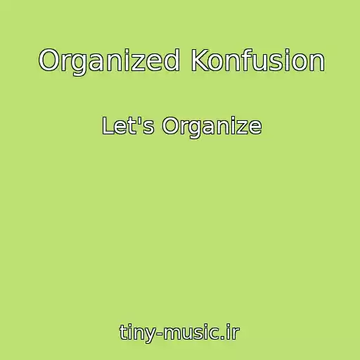 کاور آهنگ Organized Konfusion از Let's Organize
