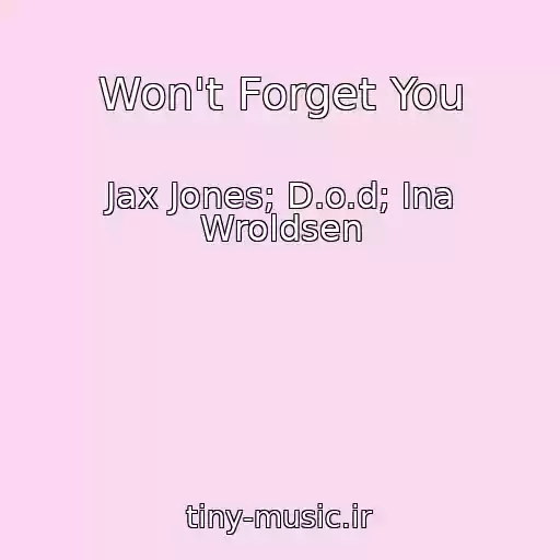 کاور آهنگ Won't Forget You از Jax Jones; D.o.d; Ina Wroldsen