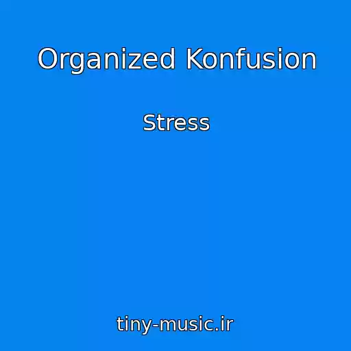 کاور آهنگ Organized Konfusion از Stress