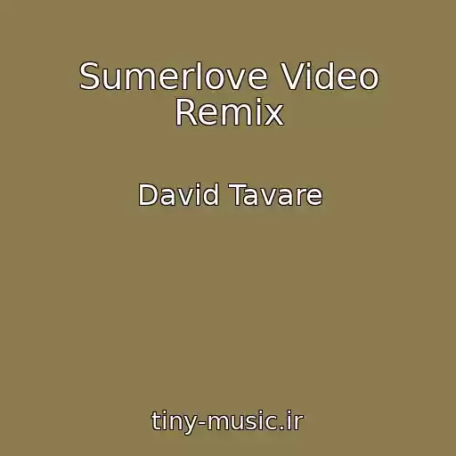 کاور آهنگ Sumerlove Video Remix از David Tavare