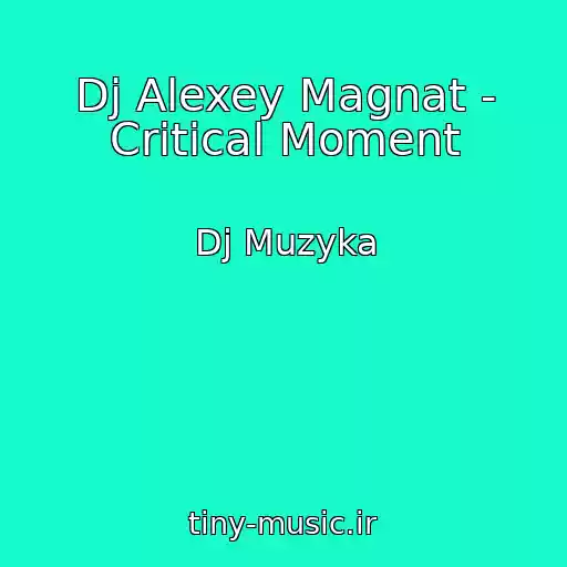 کاور آهنگ Dj Alexey Magnat - Critical Moment از Dj Muzyka