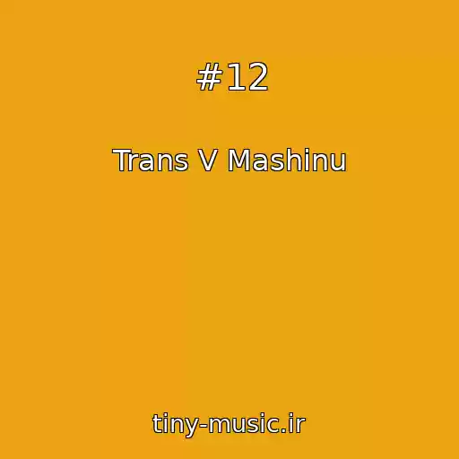 کاور آهنگ #12 از Trans V Mashinu