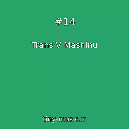 کاور آهنگ #14 از Trans V Mashinu