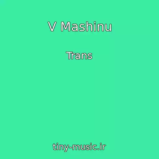 کاور آهنگ V Mashinu از Trans