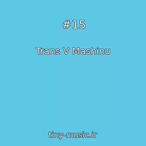 کاور آهنگ #15 از Trans V Mashinu