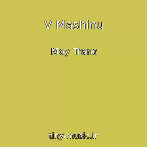 کاور آهنگ V Mashinu از Moy Trans