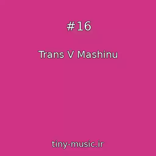 کاور آهنگ #16 از Trans V Mashinu