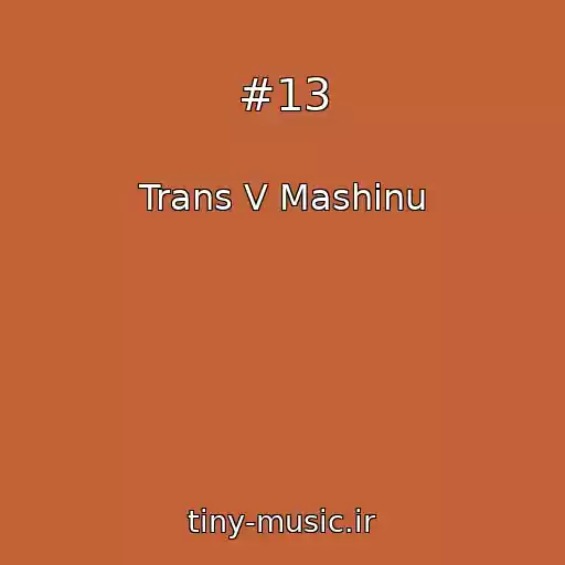 کاور آهنگ #13 از Trans V Mashinu