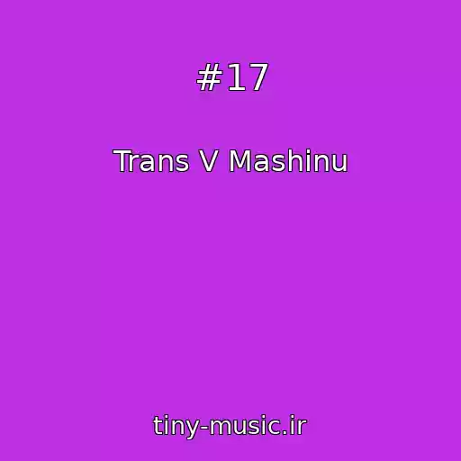 کاور آهنگ #17 از Trans V Mashinu