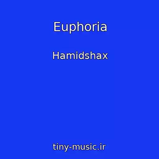 کاور آهنگ Euphoria از Hamidshax