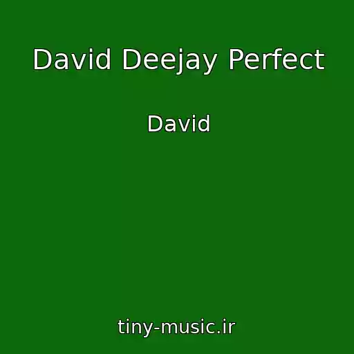 کاور آهنگ David Deejay Perfect از David