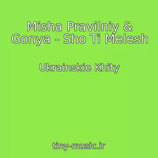 کاور آهنگ Mіsha Pravilniy & Gonya - Sho Ti Melesh از Ukrainskie Khity