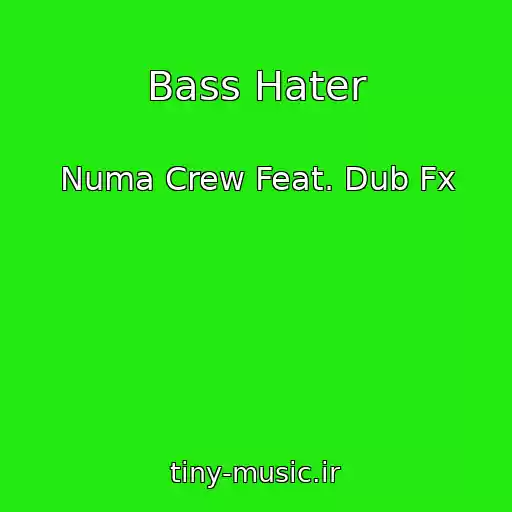کاور آهنگ Bass Hater از Numa Crew Feat. Dub Fx