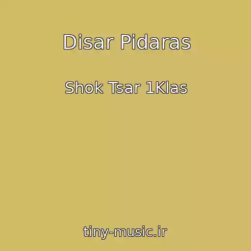 کاور آهنگ Disar Pidaras از Shok Tsar 1Klas
