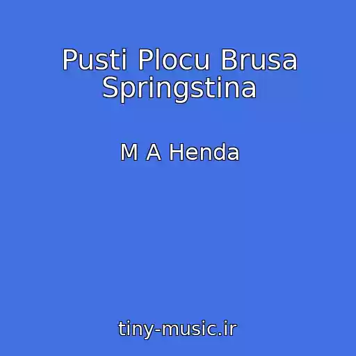 کاور آهنگ Pusti Plocu Brusa Springstina از M A Henda