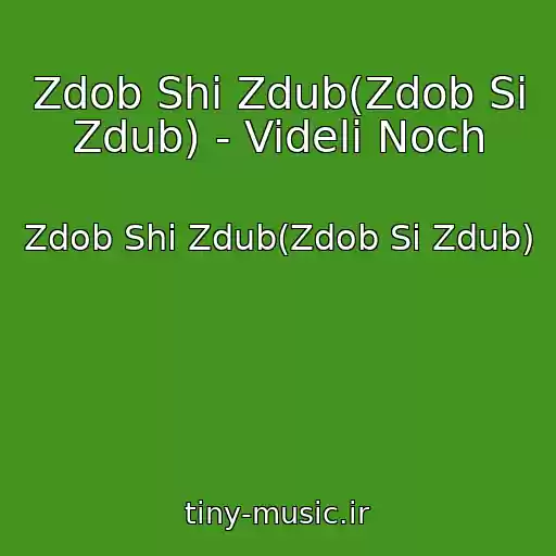 کاور آهنگ Zdob Shi Zdub(Zdob Si Zdub) - Videli Noch از Zdob Shi Zdub(Zdob Si Zdub)
