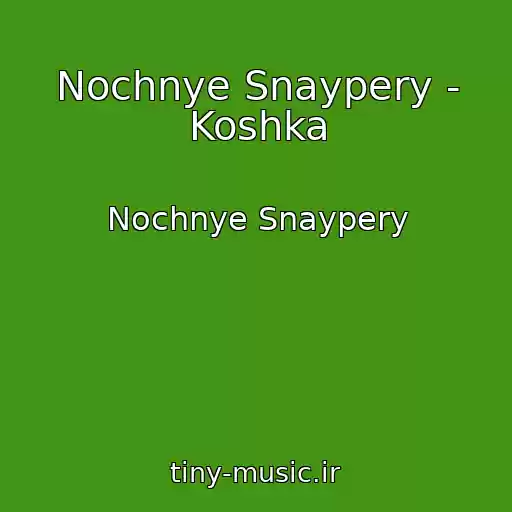 کاور آهنگ Nochnye Snaypery - Koshka از Nochnye Snaypery