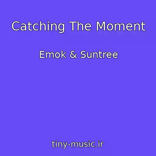 کاور آهنگ Catching The Moment از Emok & Suntree
