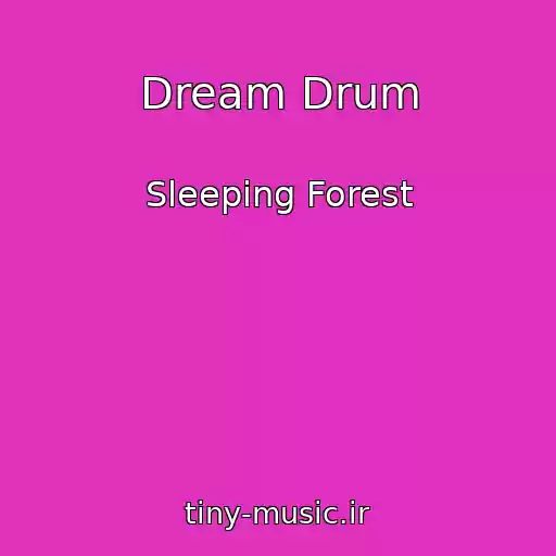 کاور آهنگ Dream Drum از Sleeping Forest