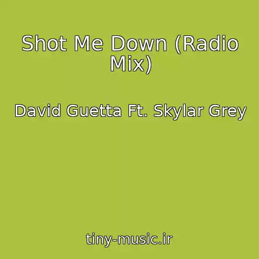 کاور آهنگ Shot Me Down (Radio Mix) از David Guetta Ft. Skylar Grey