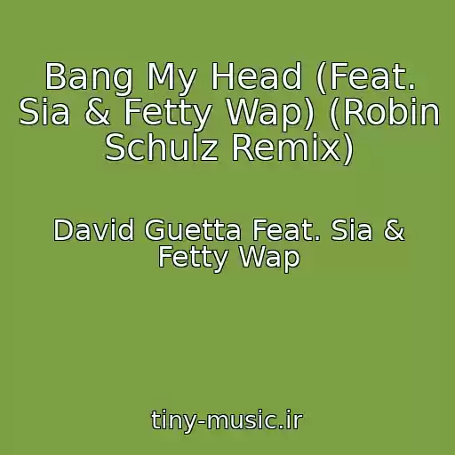 کاور آهنگ Bang My Head (Feat. Sia & Fetty Wap) (Robin Schulz Remix) از David Guetta Feat. Sia & Fetty Wap