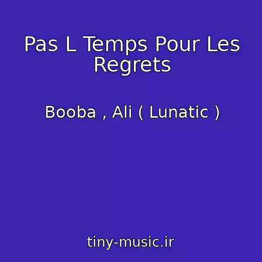 کاور آهنگ Pas L Temps Pour Les Regrets از Booba , Ali ( Lunatic )