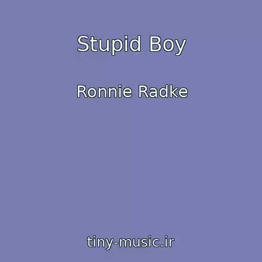کاور آهنگ Stupid Boy از Ronnie Radke