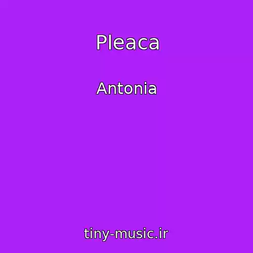 کاور آهنگ Pleaca از Antonia