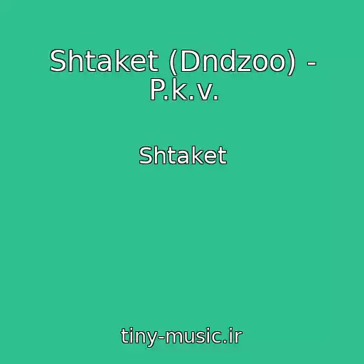 کاور آهنگ Shtaket (Dndzoo) - P.k.v. از Shtaket